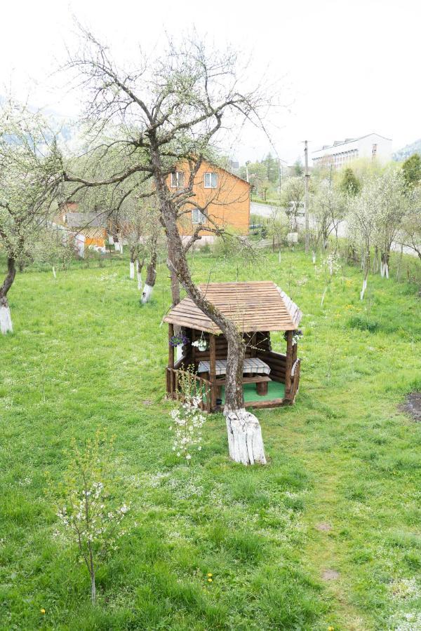 Садиба В Пані Рузі Skole Exteriör bild